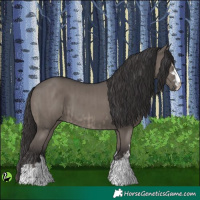 Horse Color:Smoky Grullo  and Smoky Grullo 