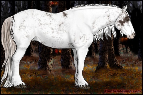 Horse Color:Liver Chestnut Sabino