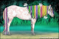 Horse Color:Painted White Spotted Chocolate Silver Sable Champagne Ice Roan Splash Appaloosa