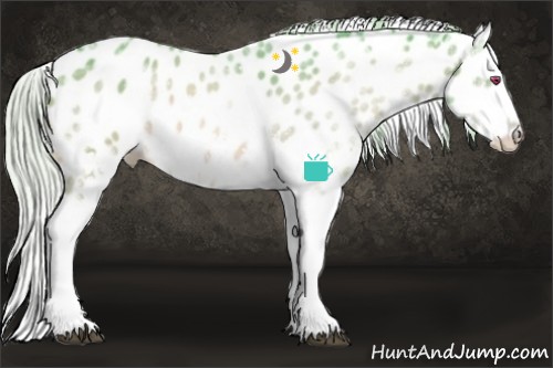 Horse Color:Watercolor White Spotted Silver Bay Chinchilla Ice Appaloosa 