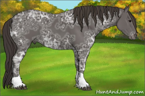 Horse Color:Smoky Black Ice Tobiano