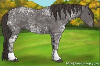 Horse Color:Smoky Black Ice Tobiano