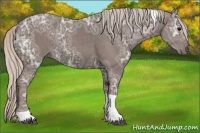 Horse Color:Silver Black Ice Tobiano