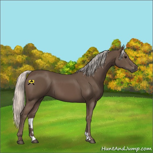 Horse Color:Silver Black 