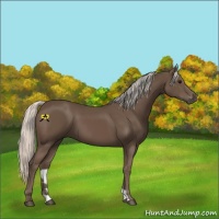 Horse Color:Silver Black 
