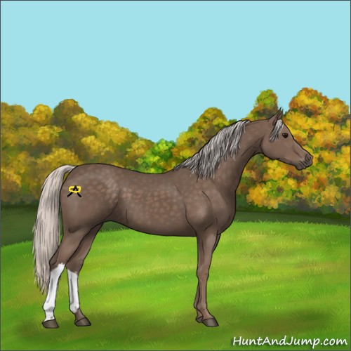 Horse Color:Silver Black 