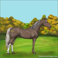 Horse Color:Silver Black 