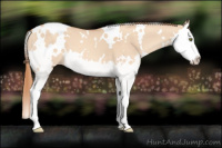 Horse Color:White Spotted Gold Champagne Dun Splash 