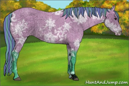 Horse Color:Void Painted Watercolor Buckskin Ice Appaloosa Rabicano 