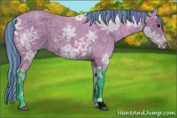 Horse Color:Void Painted Watercolor Buckskin Ice Varnish Rabicano 