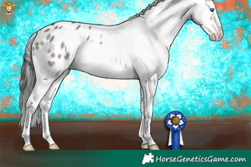 Horse Color:Platinum Liver Red Dun Sabino Splash Appaloosa 