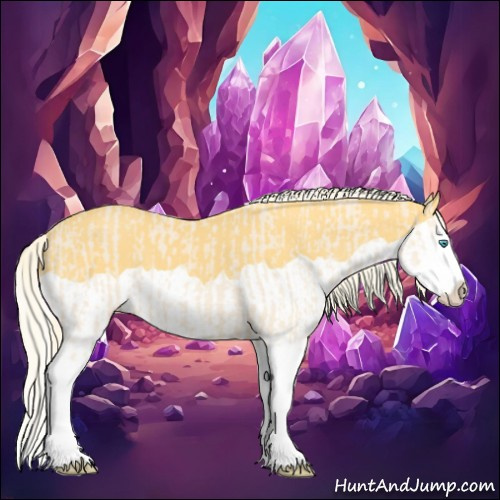 Horse Color:Cremello Splash  and Palomino Splash 