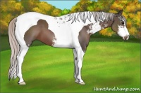 Horse Color:Silver Black Sabino Tobiano 