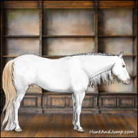 Horse Color:Buckskin Dun Splash Tobiano Blanket