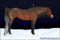 Horse Color:Bay Splash Frame Rabicano 