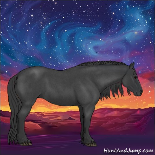 Horse Color:Blue Roan Sabino