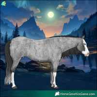 Horse Color:Blue Roan Splash 