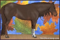 Horse Color:Liver Chestnut Tobiano 