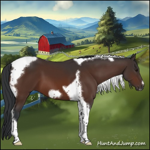 Horse Color:Brown Tobiano Frame 