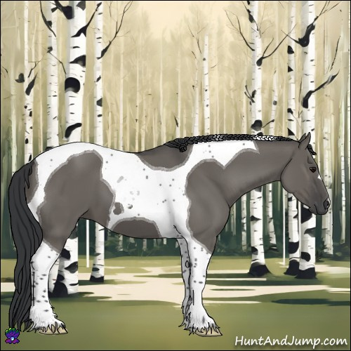 Horse Color:Grullo Tobiano 