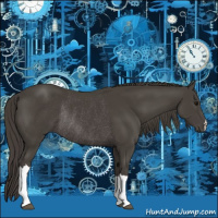 Horse Color:Smoky Black Rabicano 