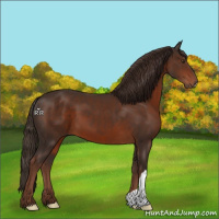 Horse Color:Liver Chestnut 