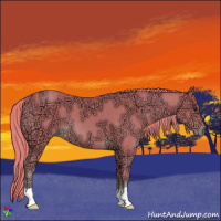 Horse Color:Watercolor Chestnut Ice 