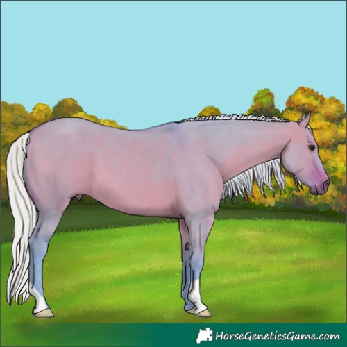Horse Color:Watercolor Silver Bay Dun 