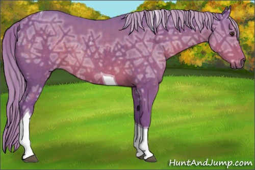 Horse Color:Watercolor Chocolate Palomino Ice Tobiano 