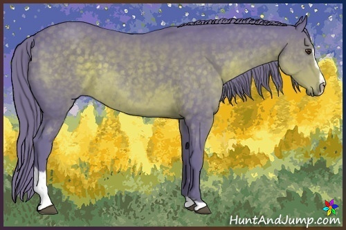 Horse Color:Watercolor Liver Chestnut Sabino 