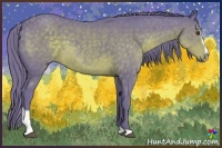 Horse Color:Watercolor Liver Chestnut Sabino 