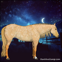 Horse Color:Watercolor Liver Red Dun Ice 