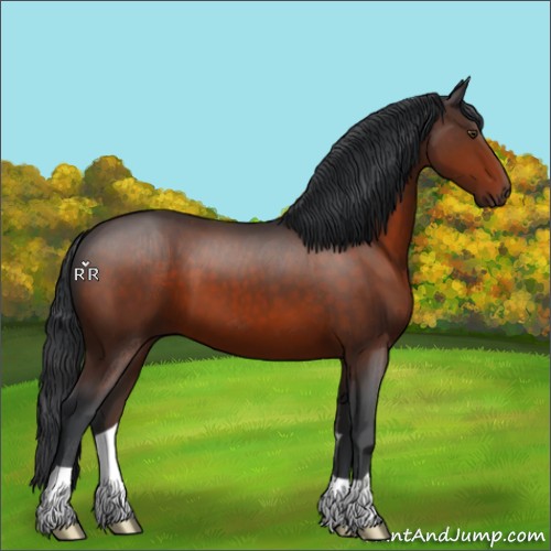 Horse Color:Brown 