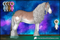Horse Color:Platinum Silver Bay Splash