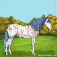 Horse Color:Painted Watercolor Grullo Onyx Sabino Appaloosa