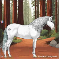 Horse Color:White Spotted Blue Onyx Chinchilla Sabino Appaloosa 