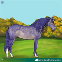 Horse Color:Watercolor Brown Chinchilla