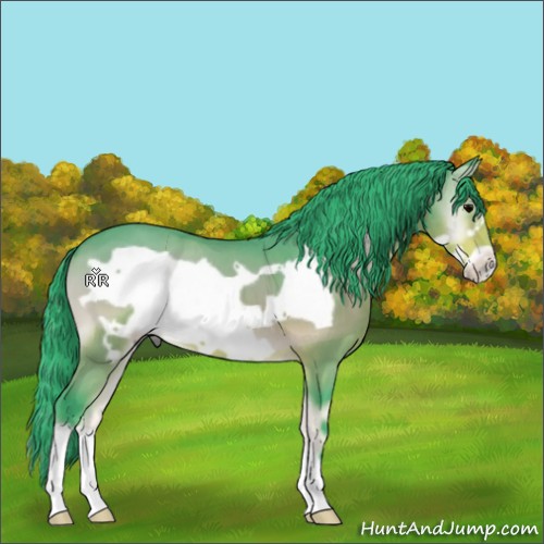 Horse Color:Watercolor Bay Onyx Frame 