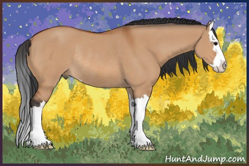 Horse Color:Bay Dun Sabino Splash Rabicano