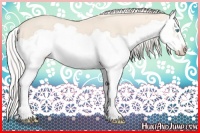 Horse Color:Cremello Splash Frame 