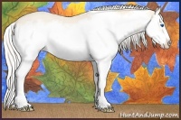 Horse Color:Cremello Splash Frame 