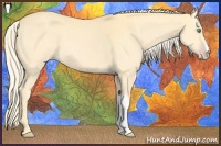 Horse Color:Gold Cream Champagne 