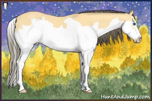 Horse Color:Amber Cream Champagne Splash Frame 