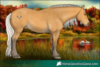 Horse Color:Silver Buckskin 