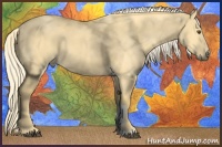 Horse Color:Palomino Dun 