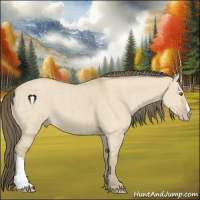 Horse Color:Classic Cream Champagne Dun 