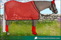 Horse Color:Silver Black 