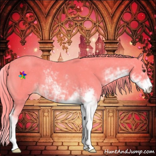 Horse Color:Watercolor Chestnut Sabino Appaloosa 