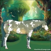 Horse Color:Watercolor White Spotted Bay Sabino