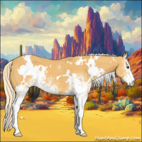 Horse Color:White Spotted Palomino